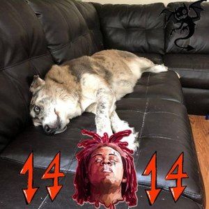 Meet your Posher, Cody